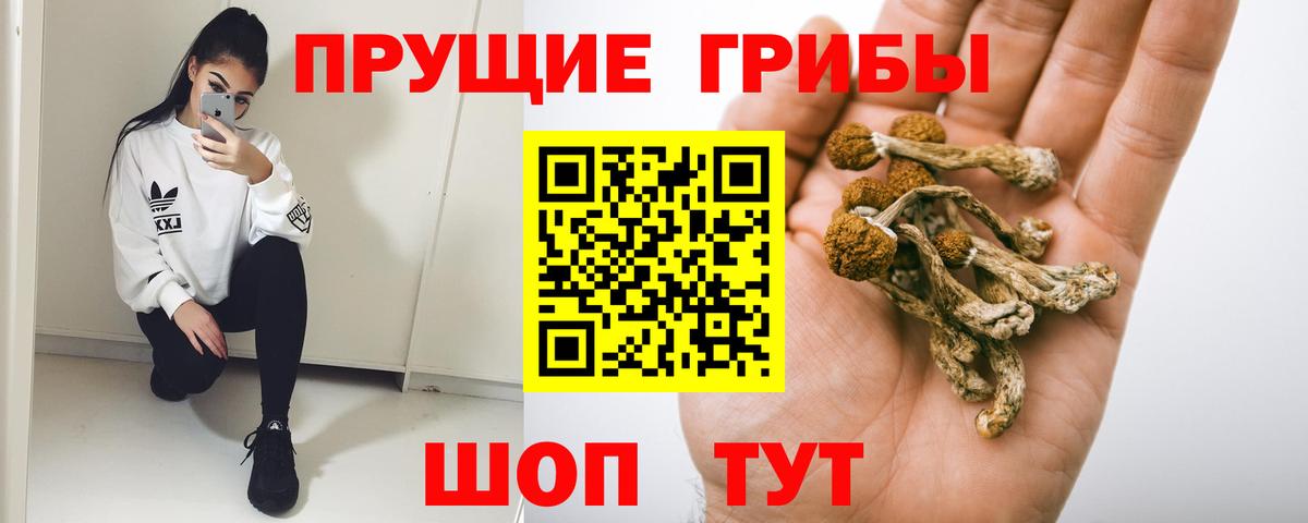 магазин продажи наркотиков  Вход с VPN  Клин  Псилоцибиновые грибы мицелий 
